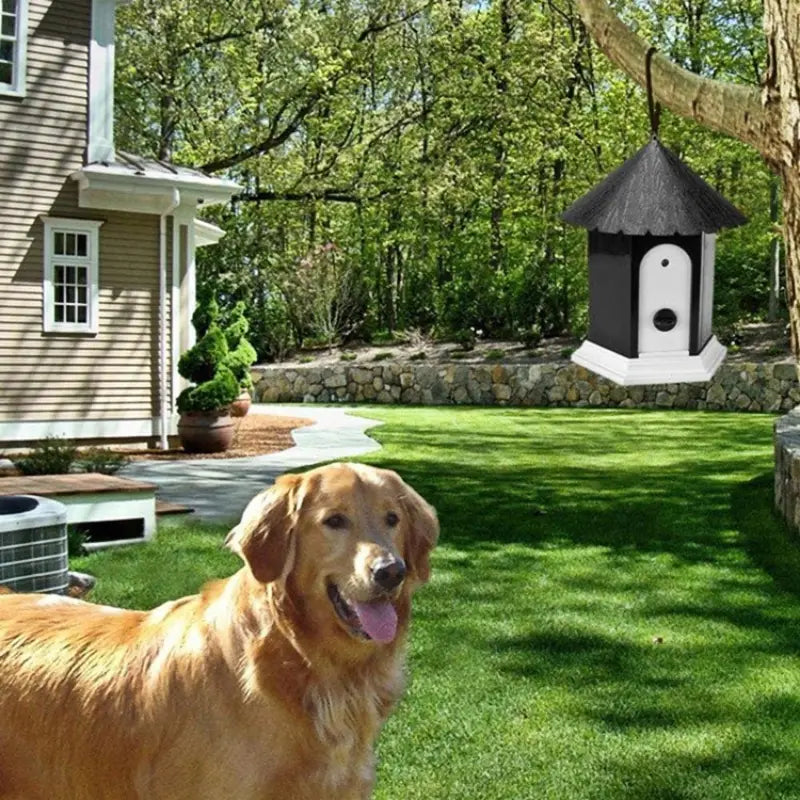 Outdoor Waterproof 2-in-1 Ultrasonic Dog Barking Control & Dog Training Tool