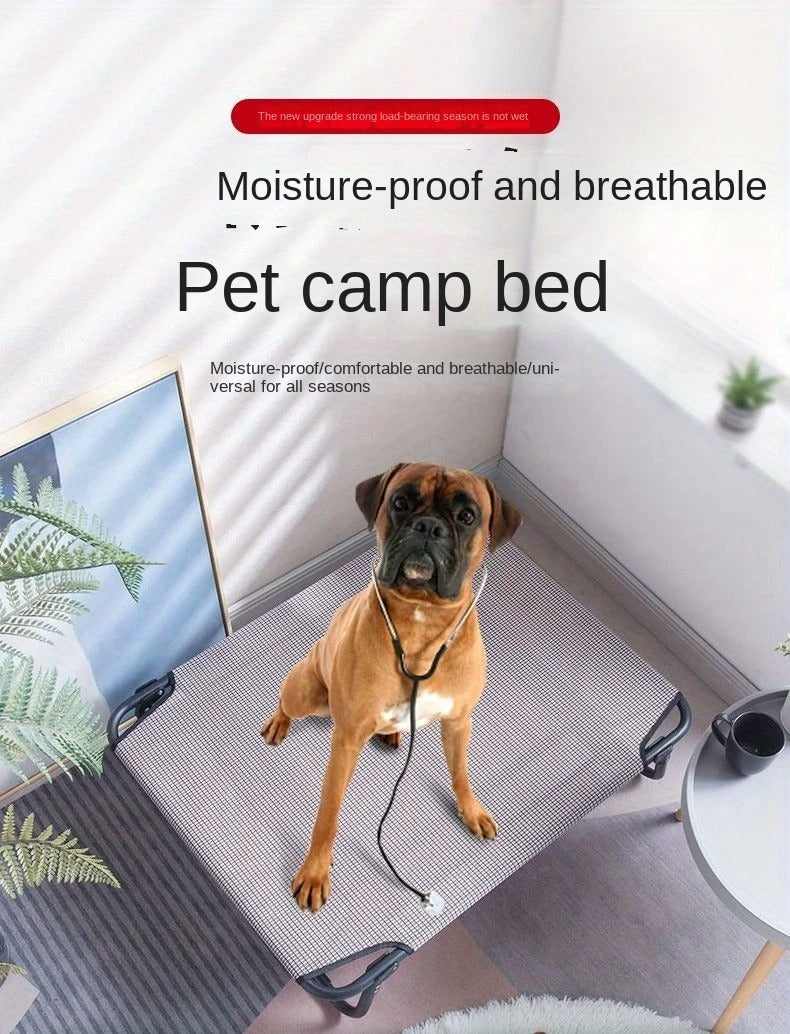 Foldable Pet Bed with Removable Cushion
