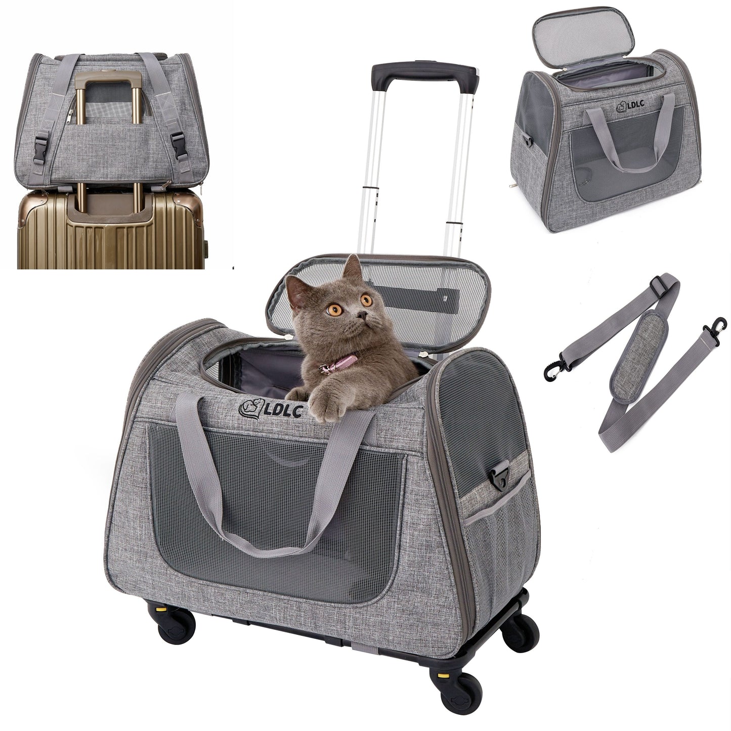 Pet Rolling Carrier with Detachable Wheels