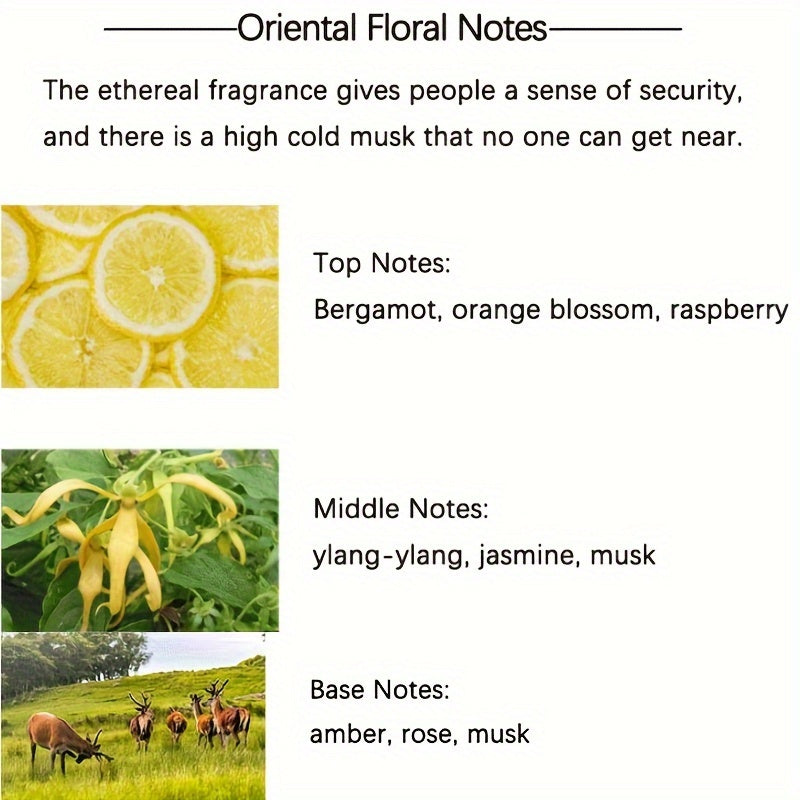 Long-Lasting Arabic Perfume for Women