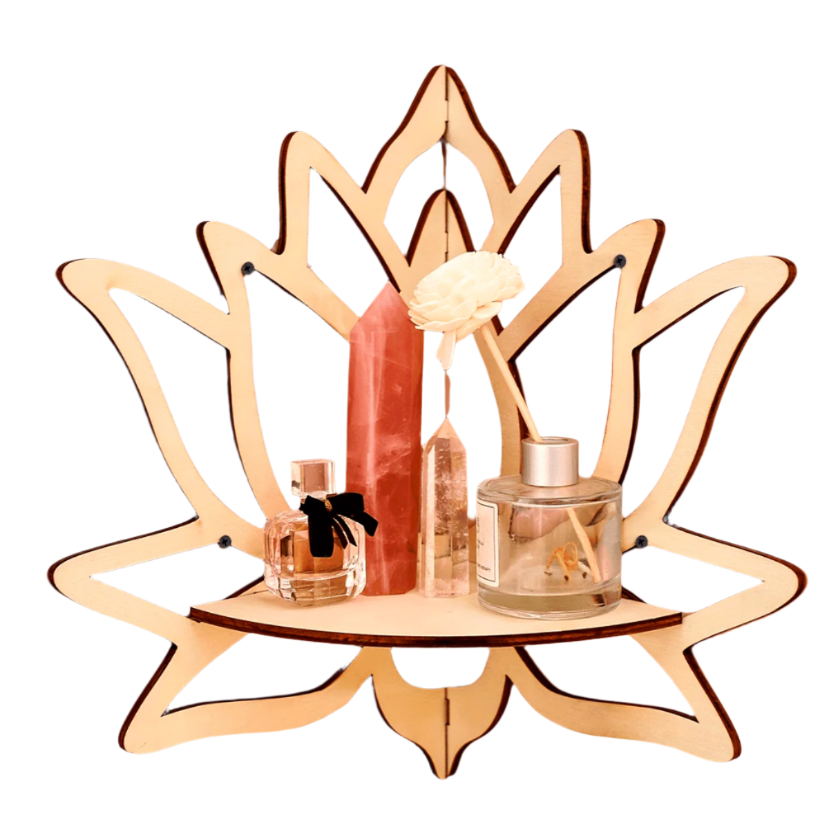 Lotus Wall-Mounted Display Rack