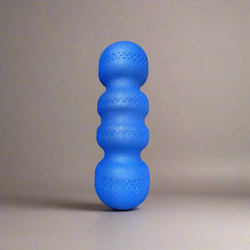 Fitness Back Roller EPP Massage Foam Roller (Black)