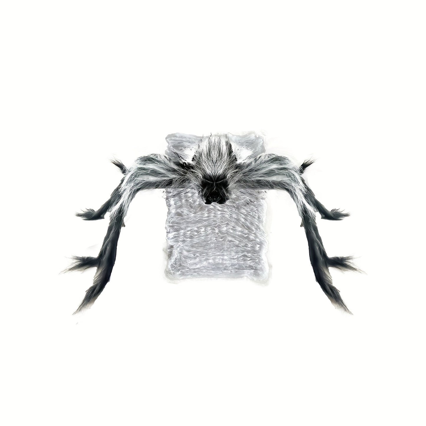 Halloween Jumping Spider with LED and Sound