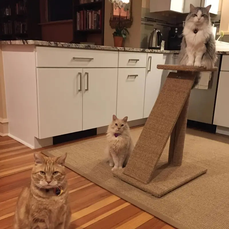 Premium Natural Sisal Cat Scratcher Mat: Durable Protection for Your Furniture