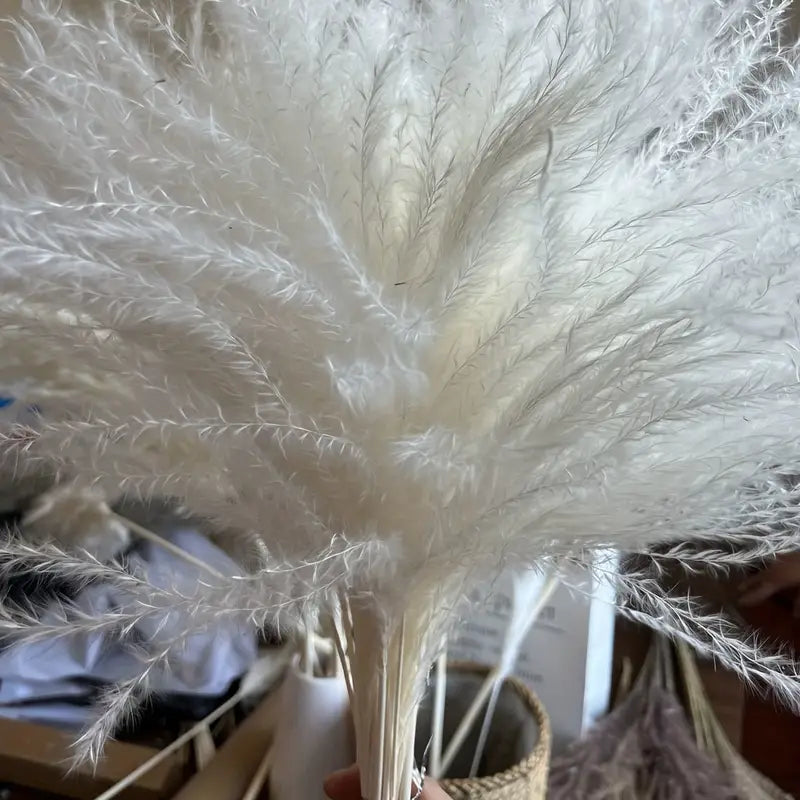 Real Touch Dried Flower Set - 50pcs Artificial Rabbit Tail Reed Set (90cm)