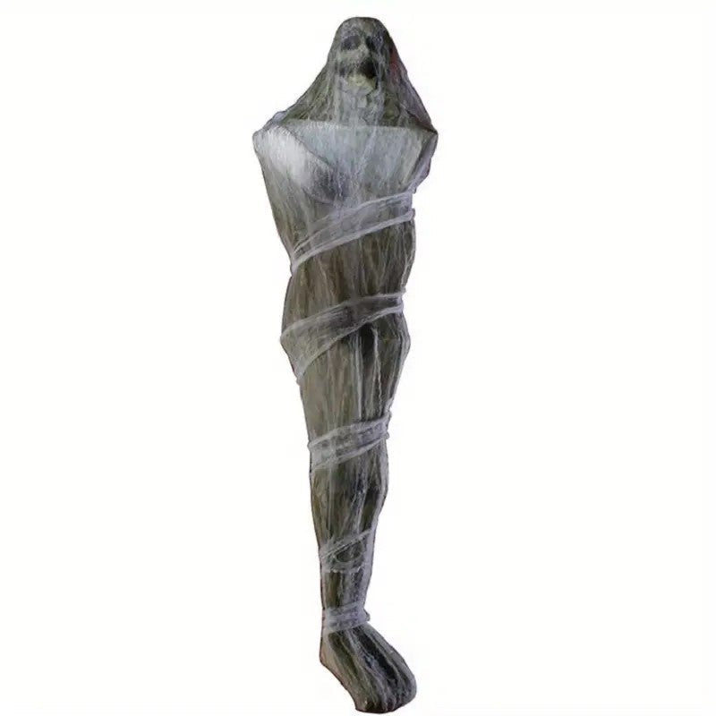 The Arachnid Embrace: Mummy Cocooned in Webs