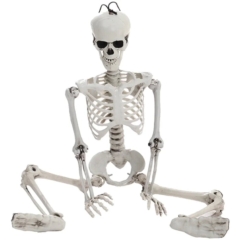 Movable Halloween Skeleton Human Bones Model