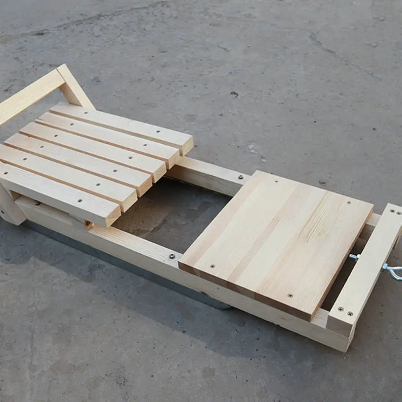 Winter Children & Adult Skating Ice Car