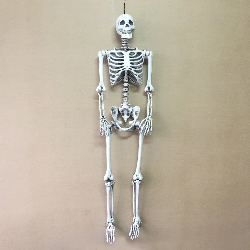 Life Size Halloween Skeleton Decoration