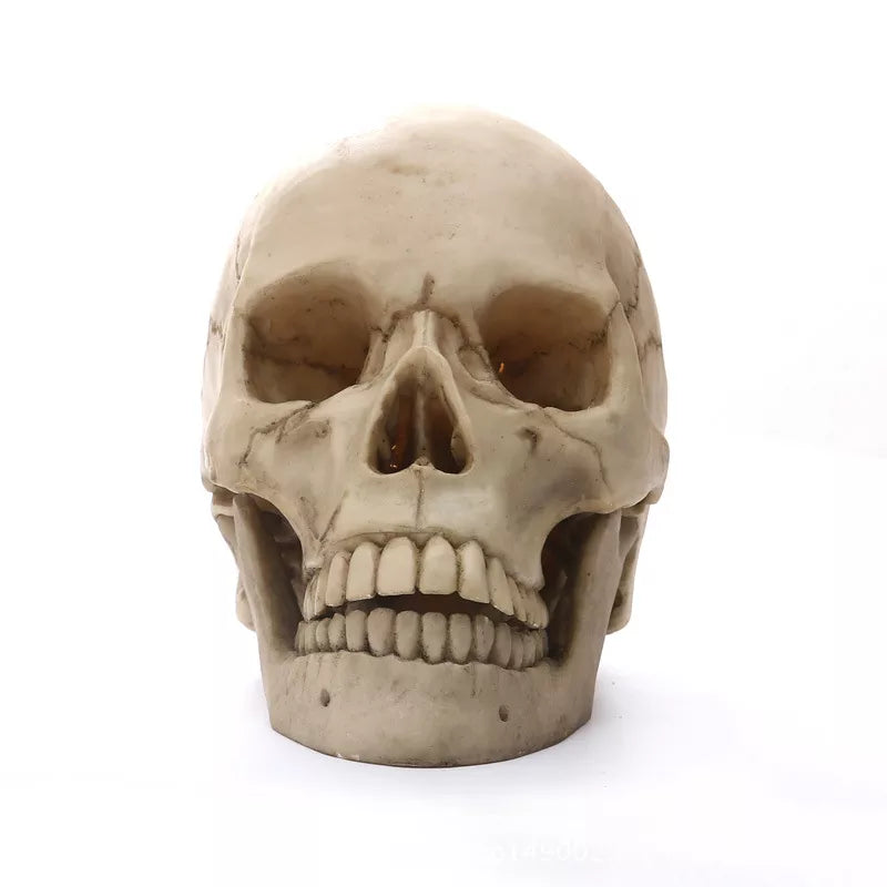 Human Skull Statue: Intriguing Home Decor & Halloween Accent