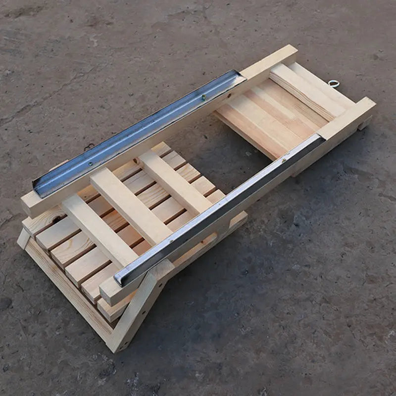 Winter Children & Adult Skating Ice Car