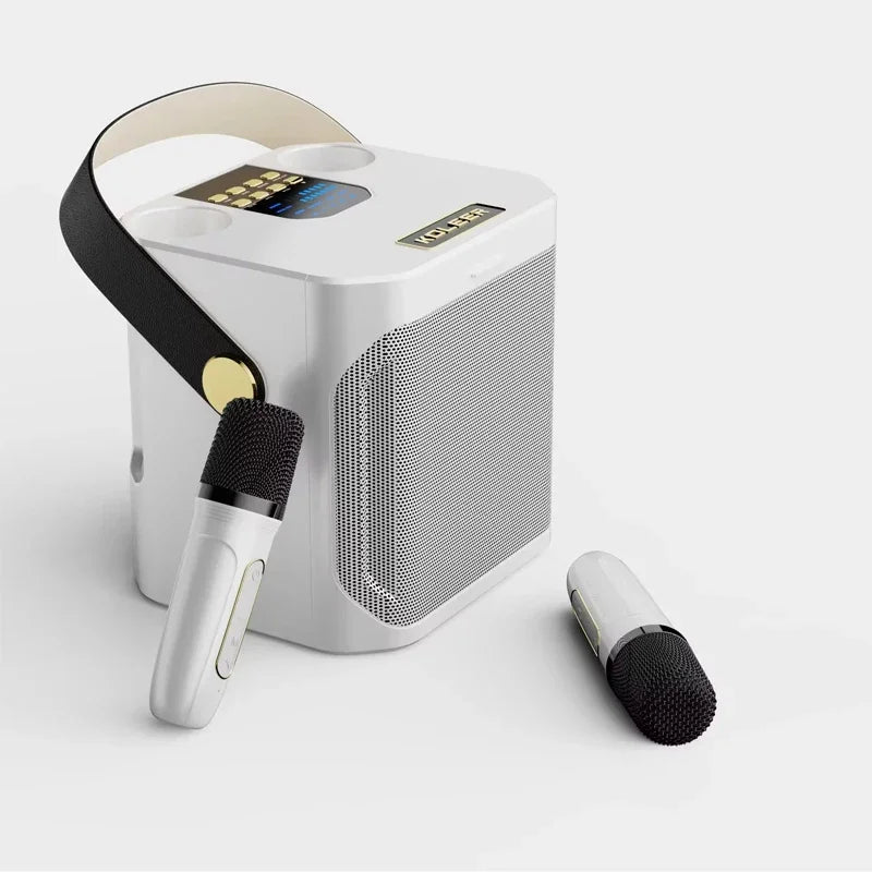 High Power Karaoke Bluetooth Speaker with Dual Microphone