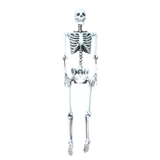 Life Size Halloween Skeleton Decoration