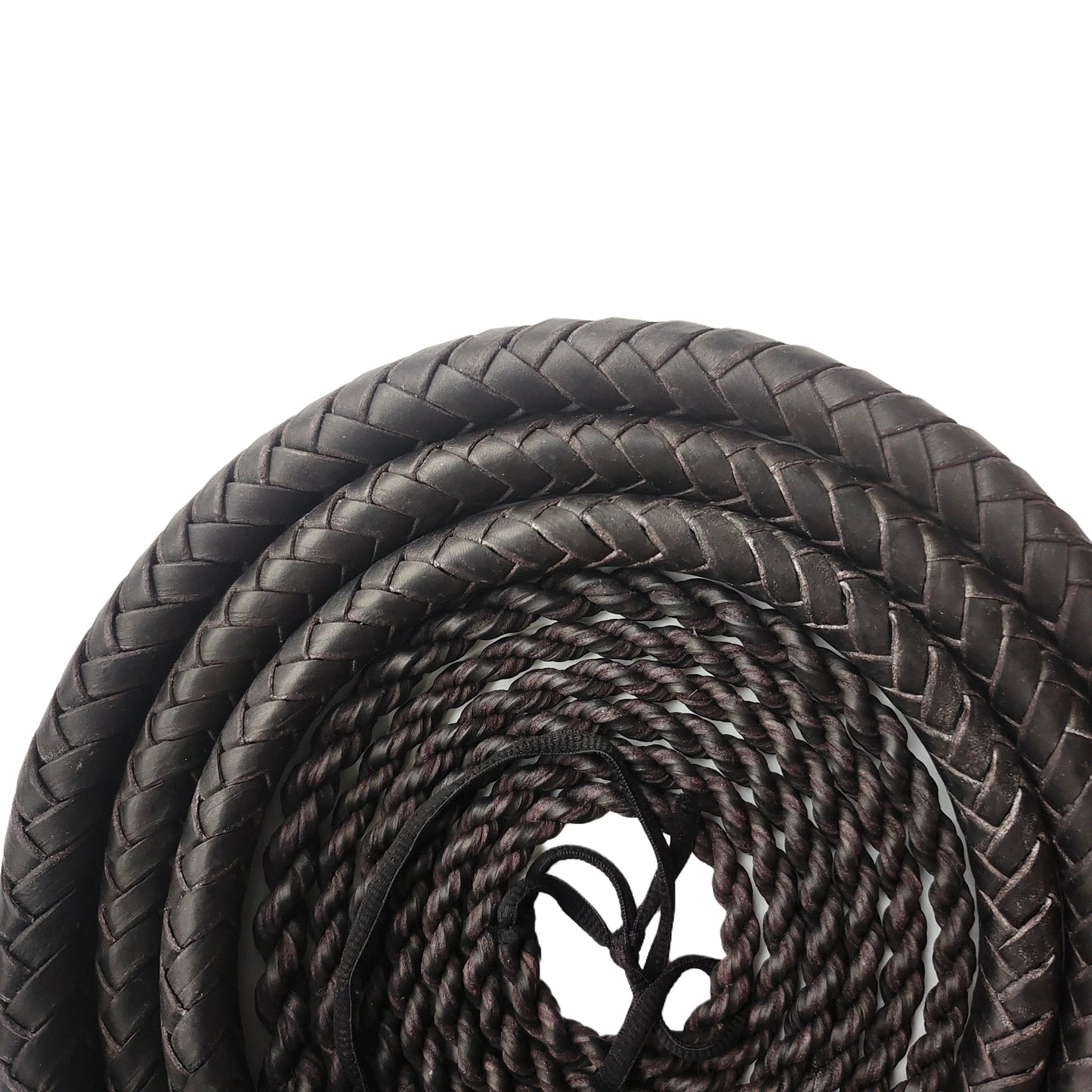 Martial Art Wushu Whip