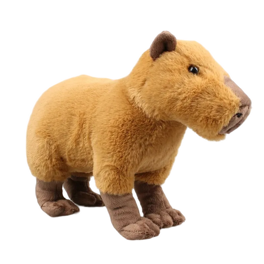 Kawaii Capybara Plush Toy