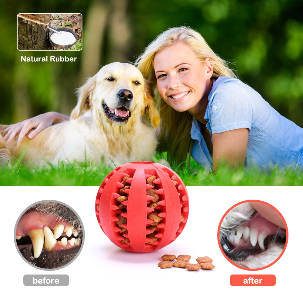 Pet Chewing Tooth Cleaning Toy