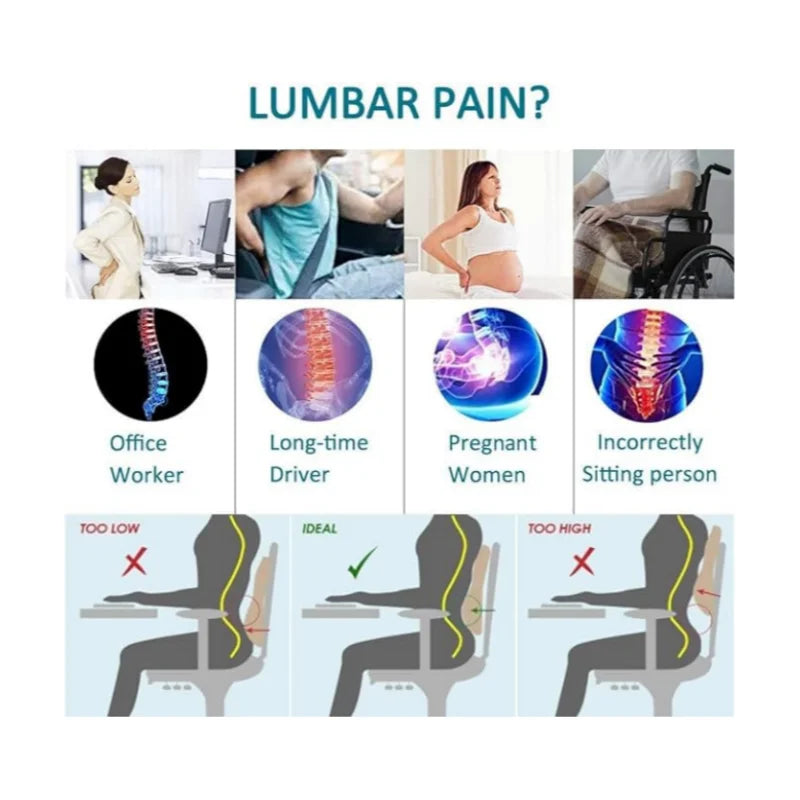 Memory Foam Lumbar Support Pillow Ergonomic Back Cushion Black