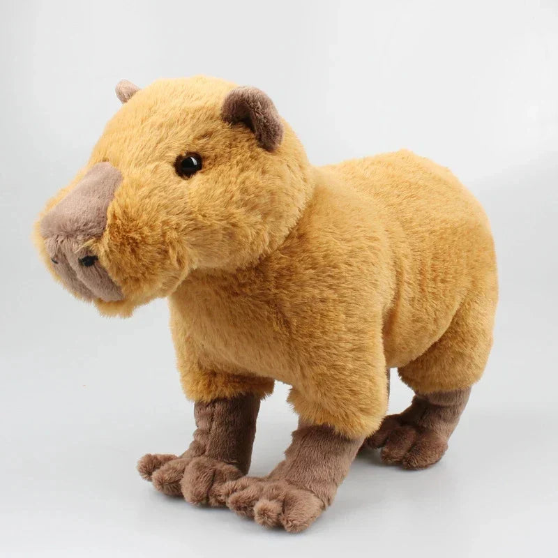Kawaii Capybara Plush Toy