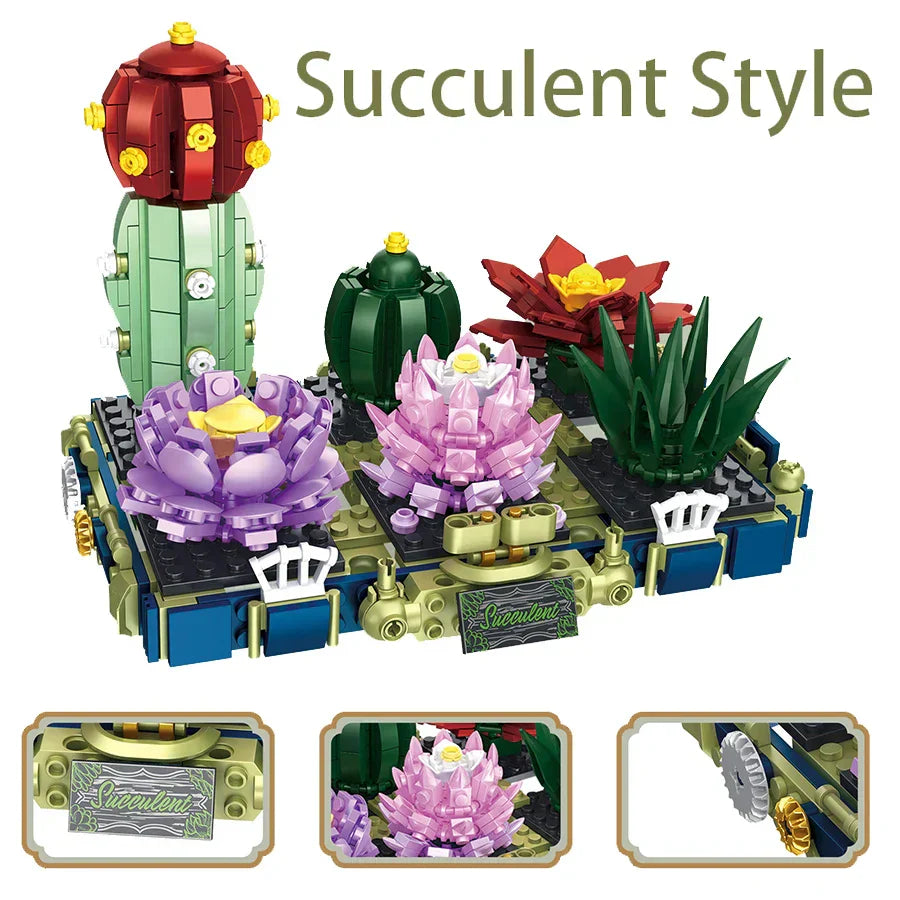 Creative Two Variations Succulents Potted Plant