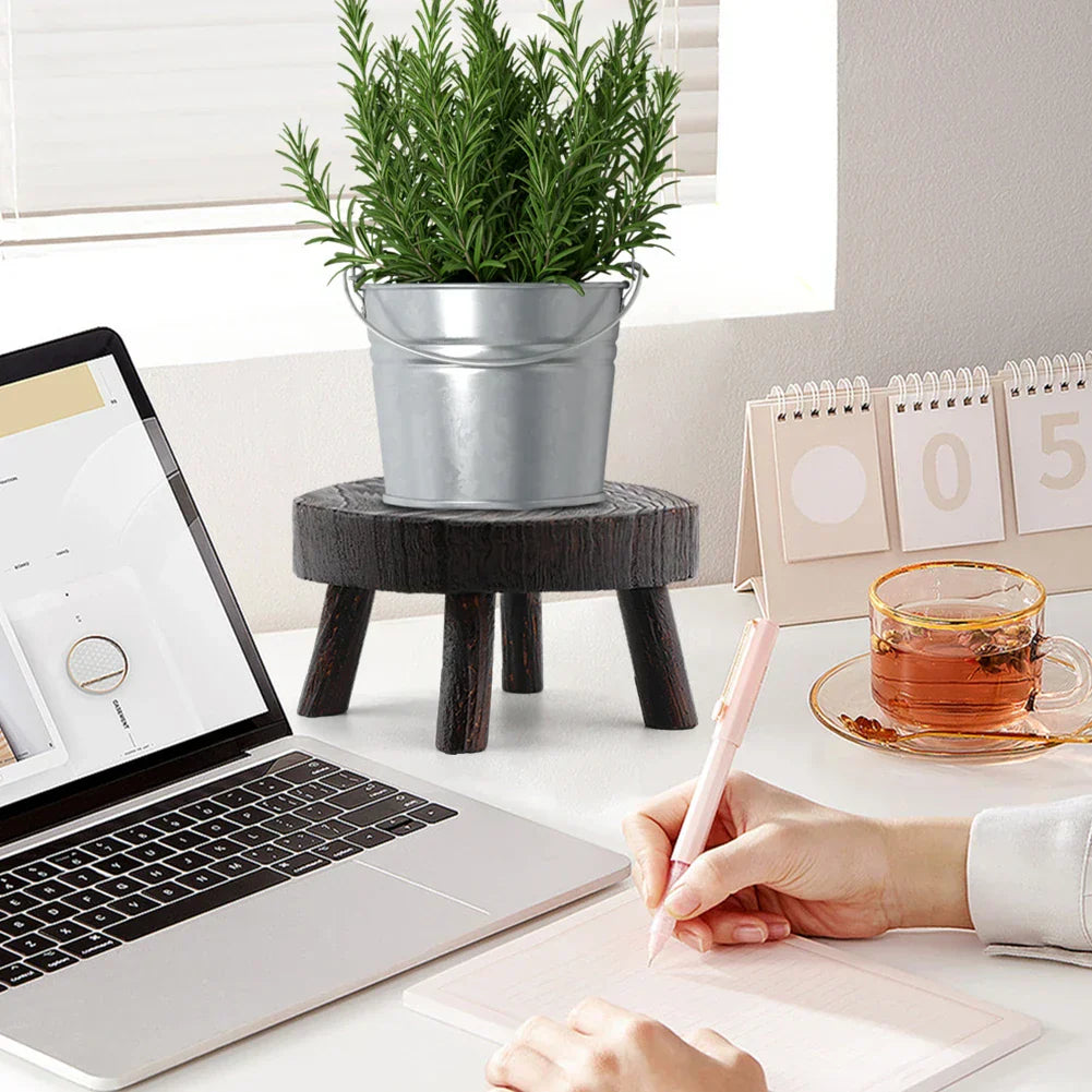 Multipurpose Wooden Stool Step Ladder for Fishing and More