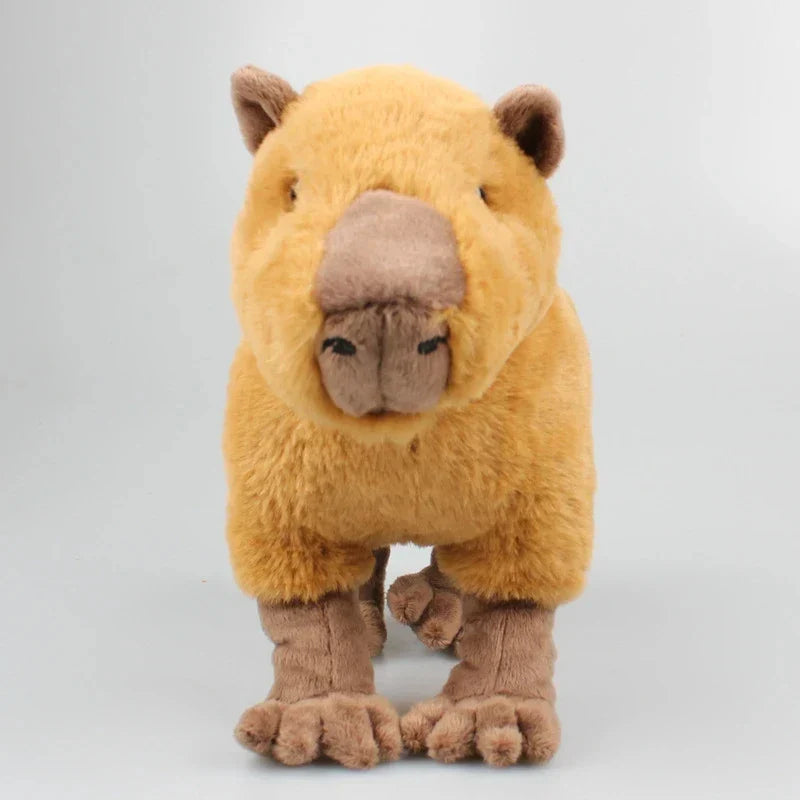 Kawaii Capybara Plush Toy