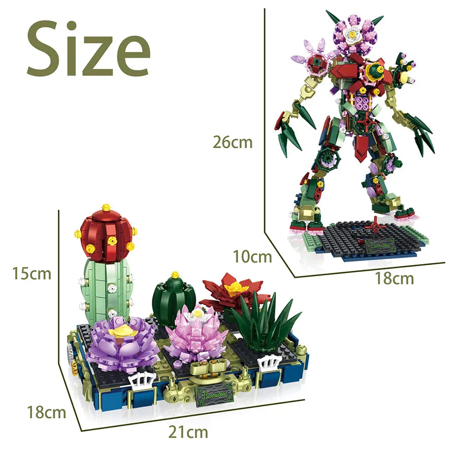 Creative Two Variations Succulents Potted Plant