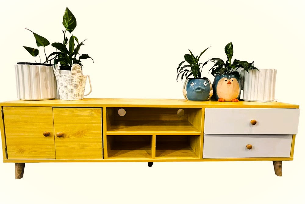 Two-Doors, Two-Drawers Wooden TV Cabinet