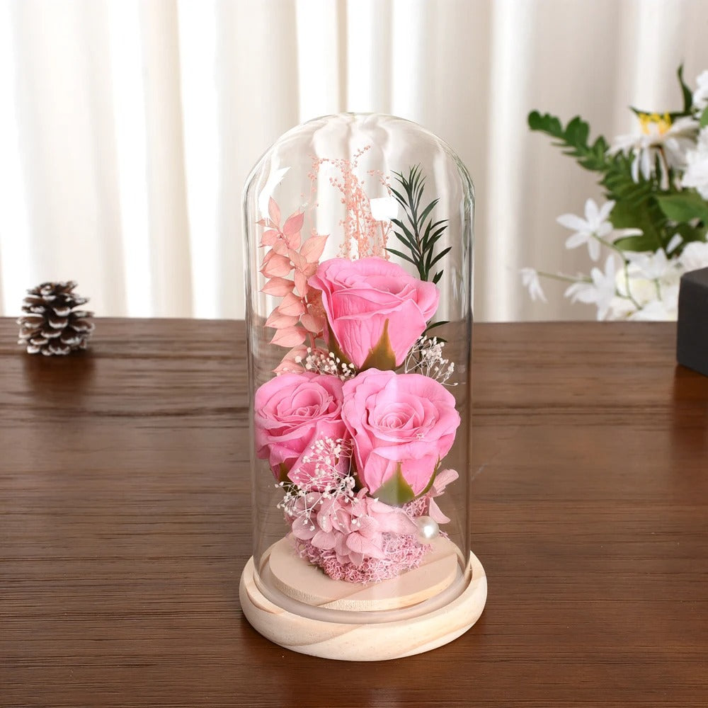 Rose in Glass Dome Valentines Mothers Birthday Gift
