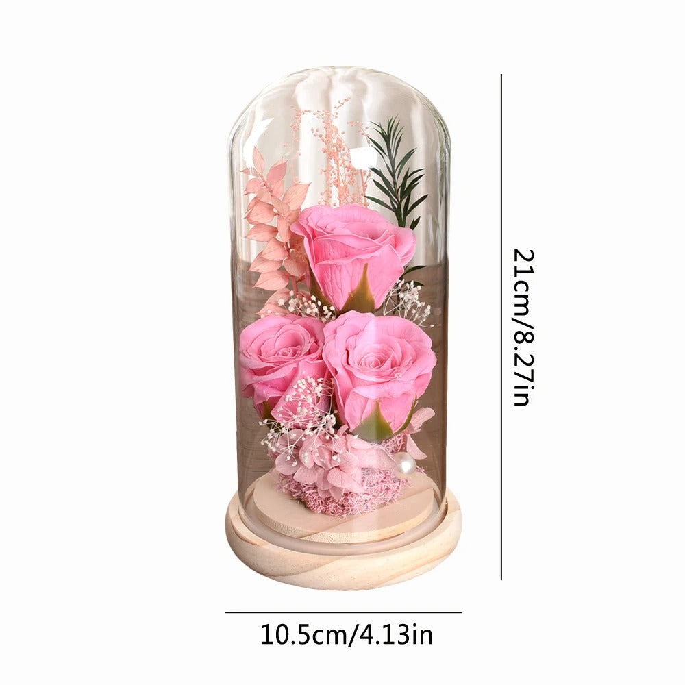 Rose in Glass Dome Valentines Mothers Birthday Gift