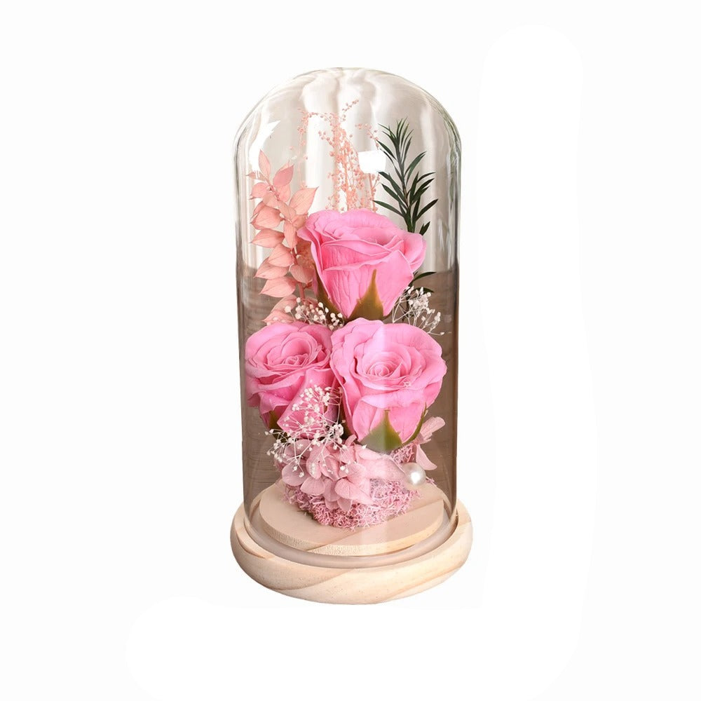 Rose in Glass Dome Valentines Mothers Birthday Gift