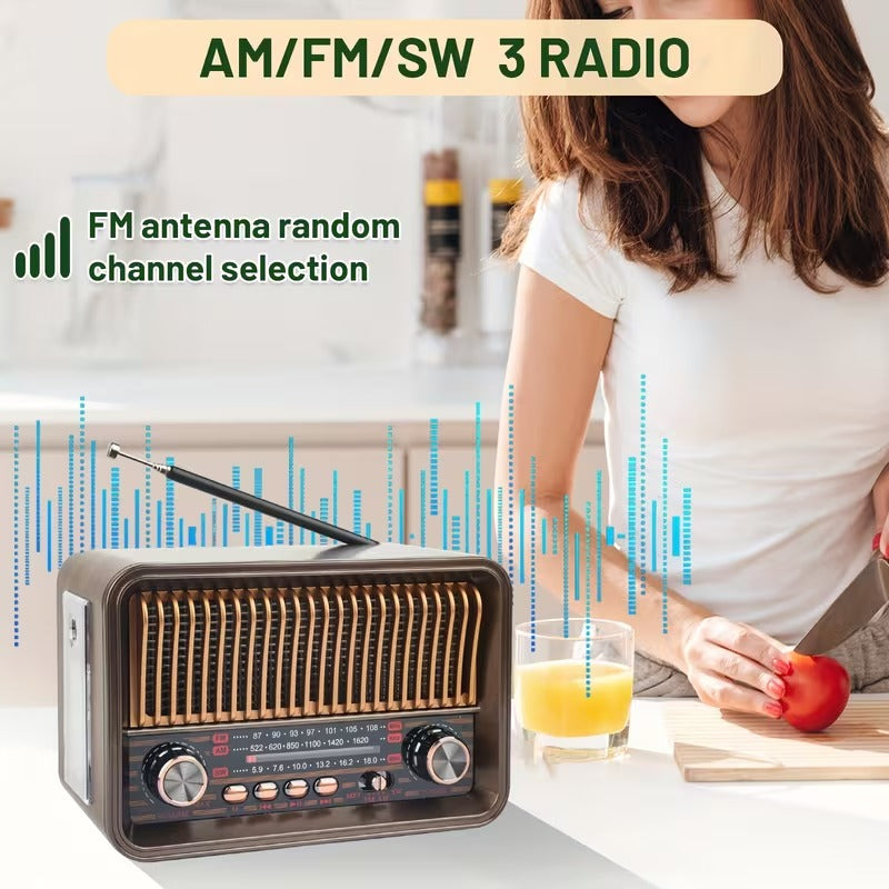 Portable AM/FM Radio with LED Flashlight & TF/USB/AUX