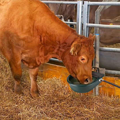 Automatic Water Trough Bowl for Livestock