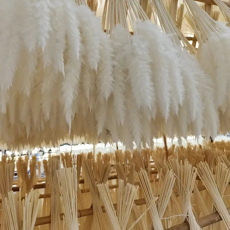 Real Touch Dried Flower Set - 50pcs Artificial Rabbit Tail Reed Set (90cm)