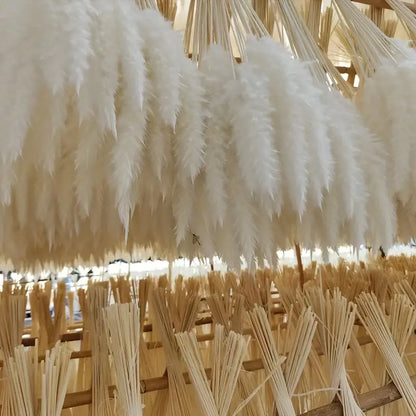 Real Touch Dried Flower Set - 50pcs Artificial Rabbit Tail Reed Set (90cm)