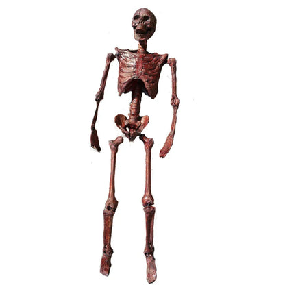 Halloween Mummification Skeleton Life-Size Decoration