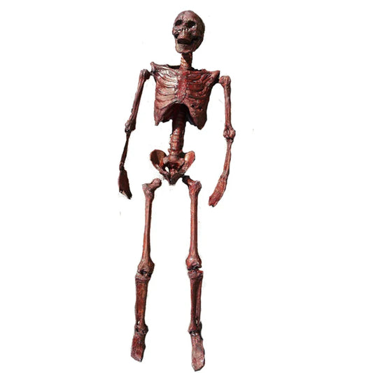 Halloween Mummification Skeleton Life-Size Decoration
