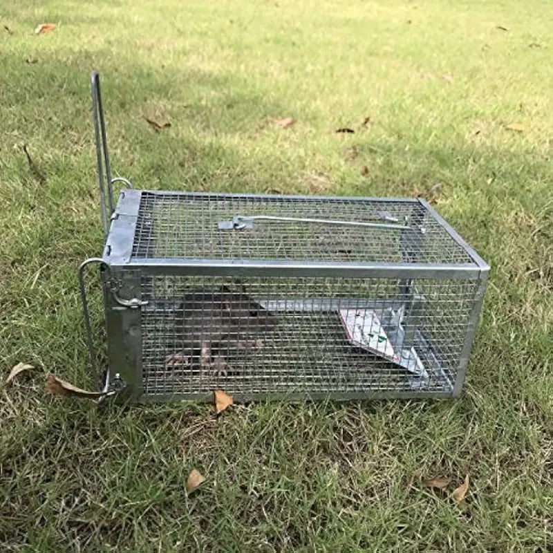 Humane Rat Trap - Metal Chipmunk and Rodent Trap (1pc)