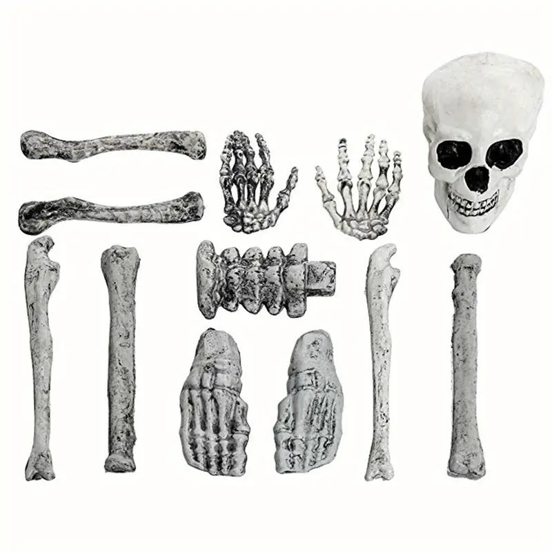 2 Sets Skeleton Body Part Props – 12-Piece Plastic Scatter Bones