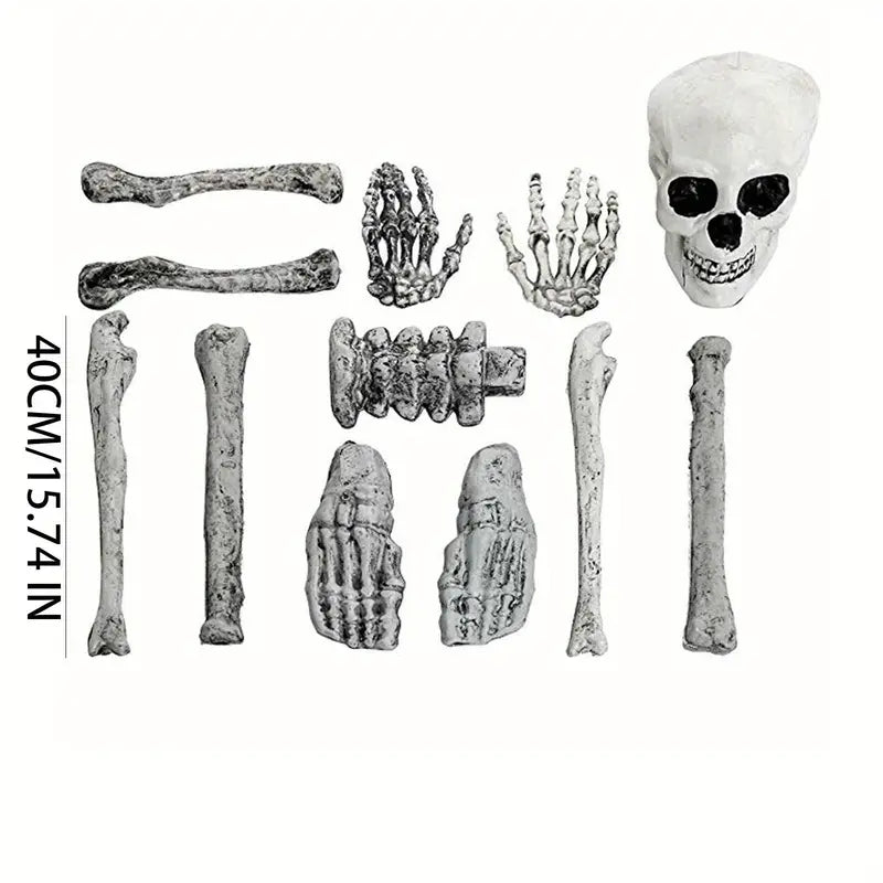 2 Sets Skeleton Body Part Props – 12-Piece Plastic Scatter Bones