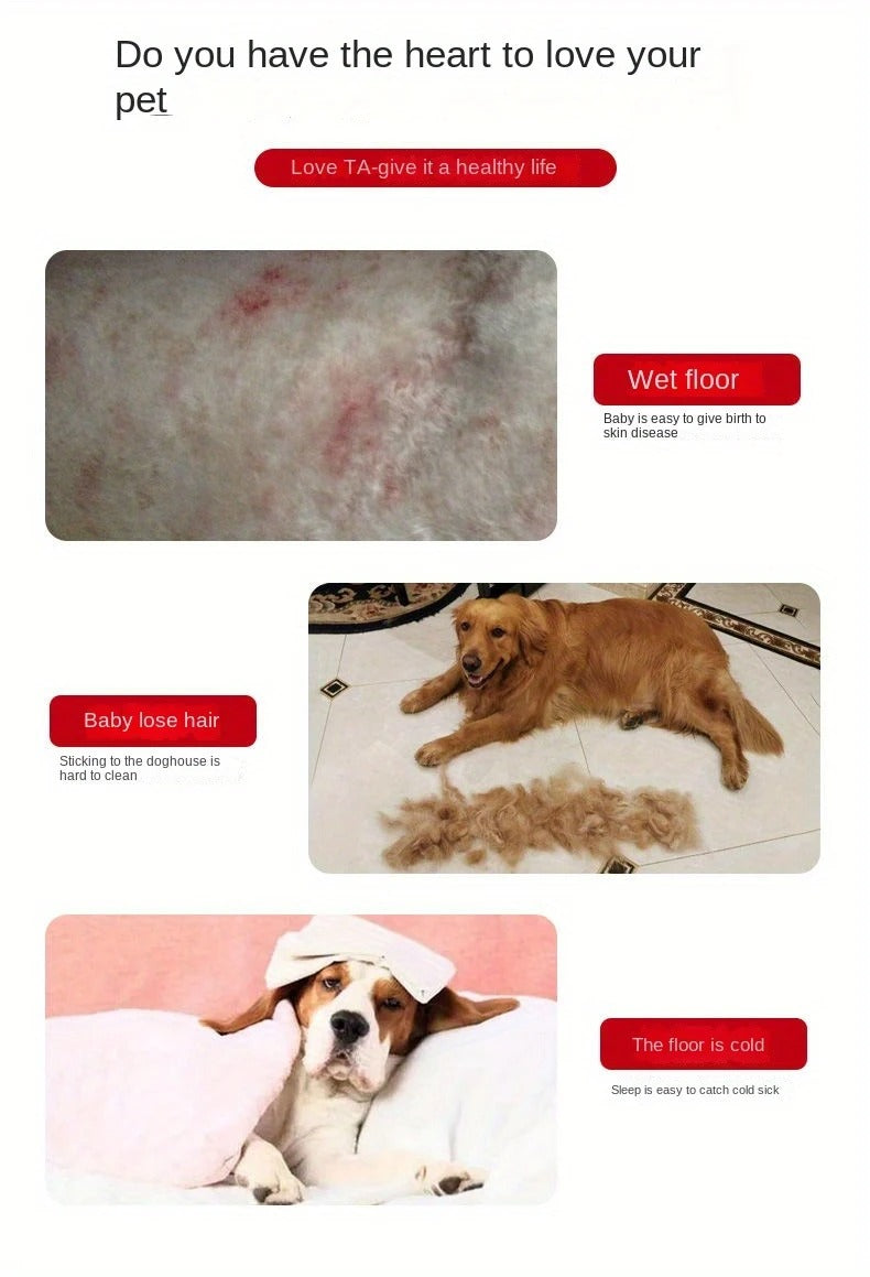 Foldable Pet Bed with Removable Cushion