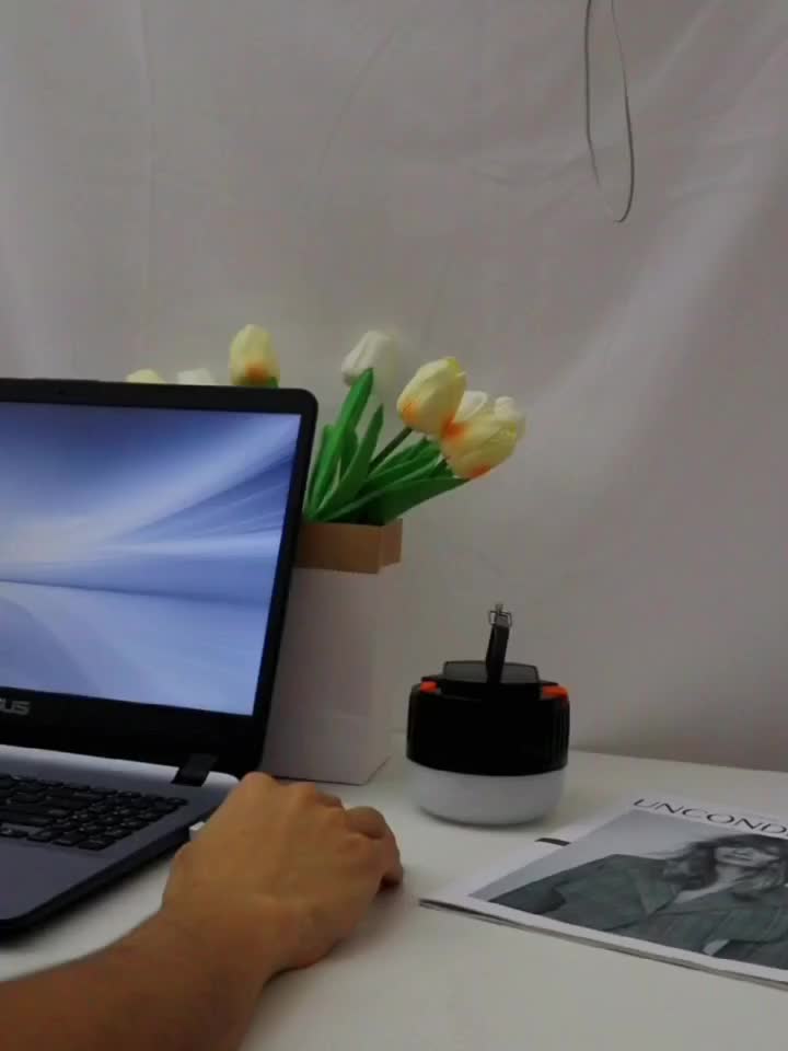 Solar Rechargeable Camping Light Outdoor LED Lamp