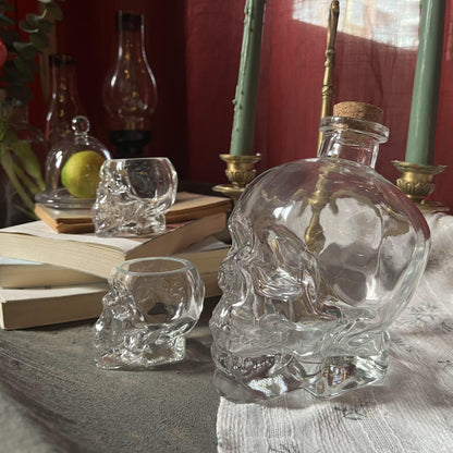 2-Piece Skull Decanter Set - 750ml Crystal Wine Decanter