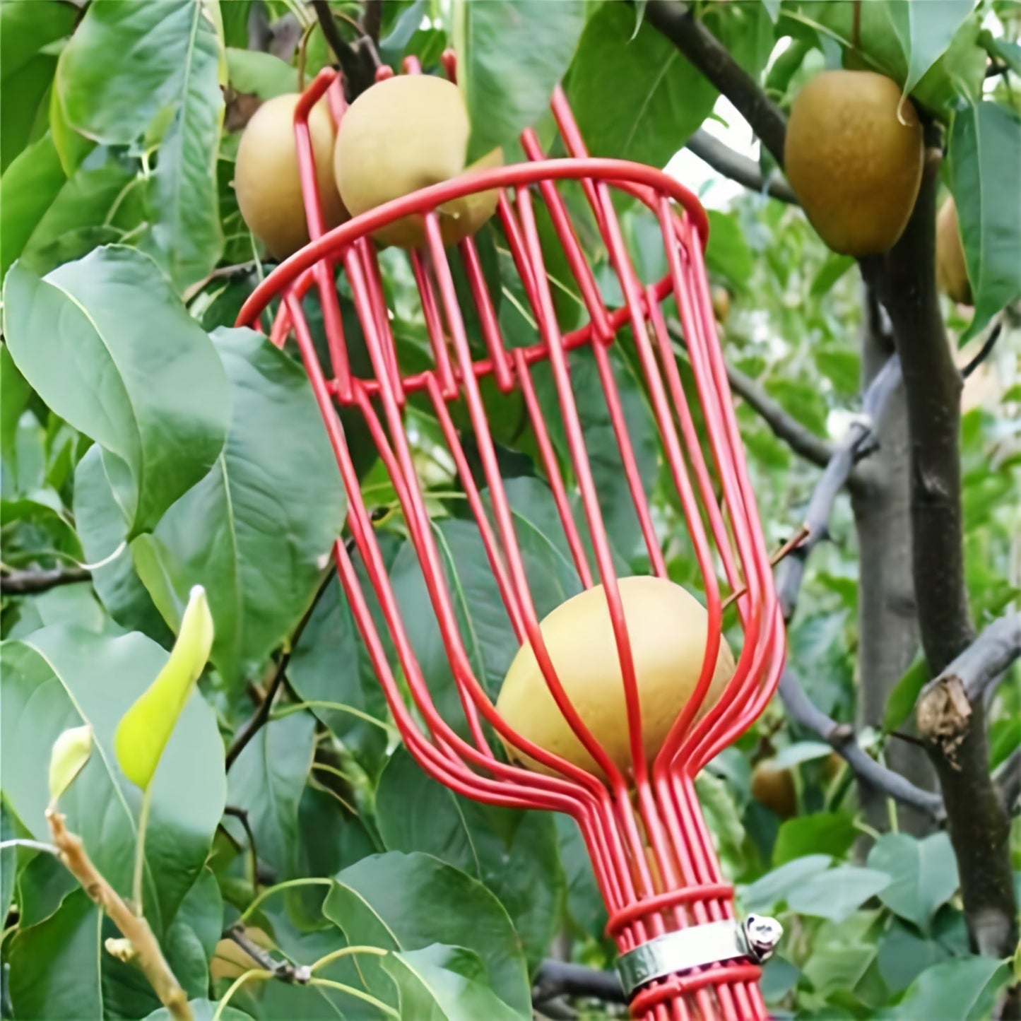 High-Altitude Fruit Picker Claw Tool for Easy Harvesting