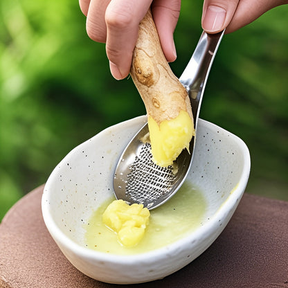 Stainless Steel Ginger Grater Spoon