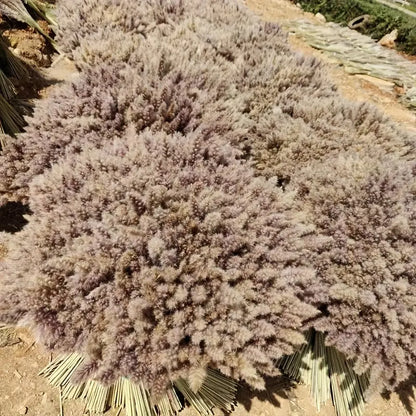 Real Touch Dried Flower Set - 50pcs Artificial Rabbit Tail Reed Set (90cm)