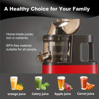 Fruits and Vegetables Slow Juicer