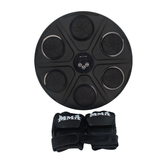 Smart Music Boxing Wall Trainer with Gloves