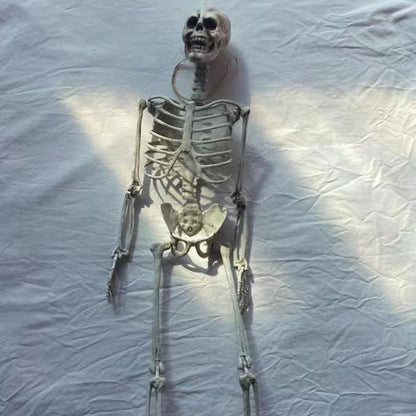 Movable Halloween Skeleton Human Bones Model