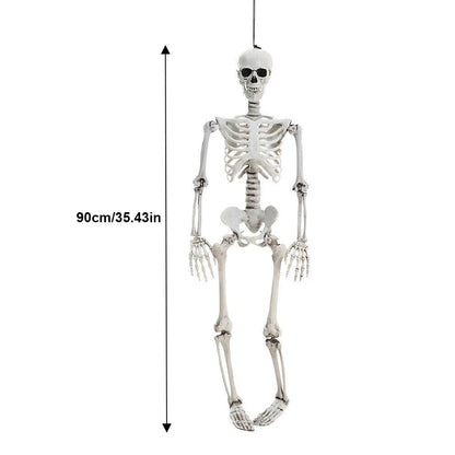 Movable Halloween Skeleton Human Bones Model
