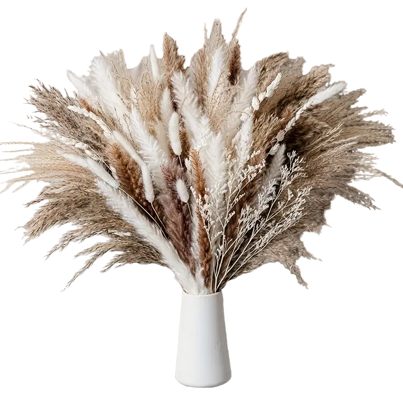 Real Touch Dried Flower Set - 50pcs Artificial Rabbit Tail Reed Set (90cm)